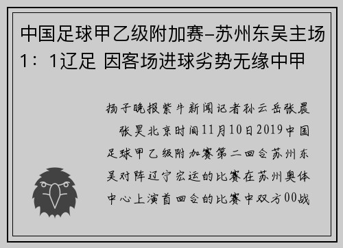 中国足球甲乙级附加赛-苏州东吴主场1：1辽足 因客场进球劣势无缘中甲